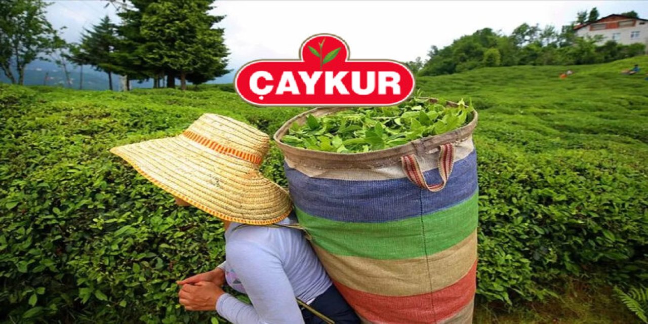 ÇAYKUR 1365 işçi ve geçici işçi alımı başvuruları başlıyor