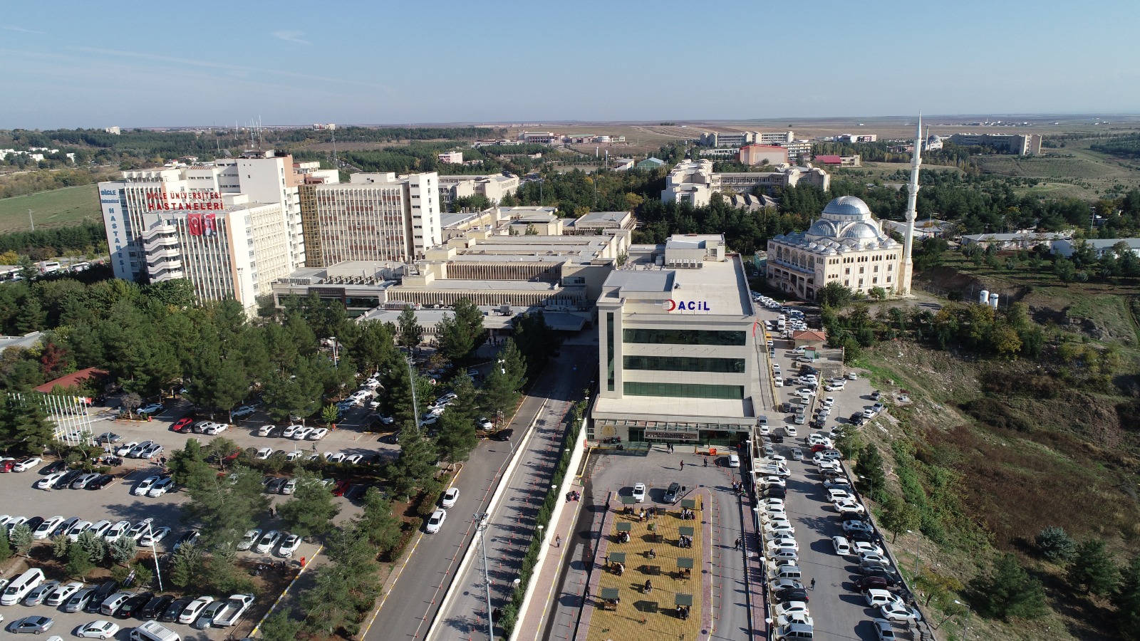 Dicle Üniversitesi, 27 Öğretim Üyesini İstihdam Edecek